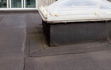 disadvantages of Woolaston Common flat roofs