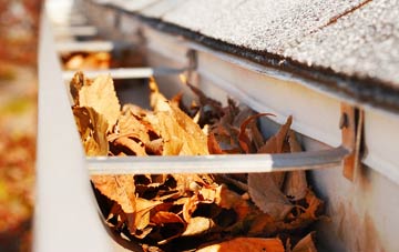 Woolaston Common gutter cleaning companies