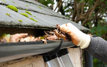 gutter cleaning Woolaston Common, Gloucestershire