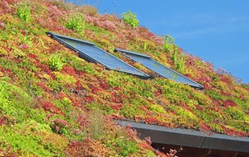 Woolaston Common living roof systems